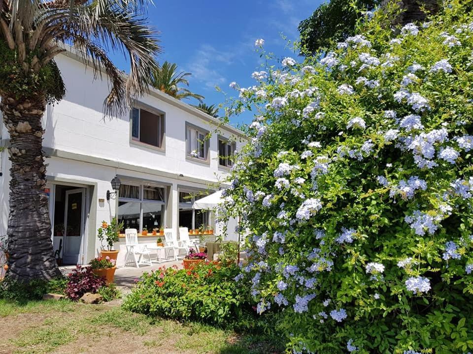 Hotel Puerto Las Palmas Punta del Este Exterior foto